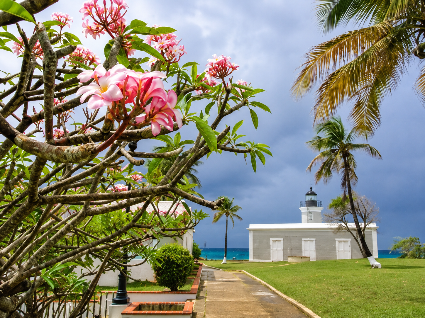 Tropical flowers and palms overlooking the sea
