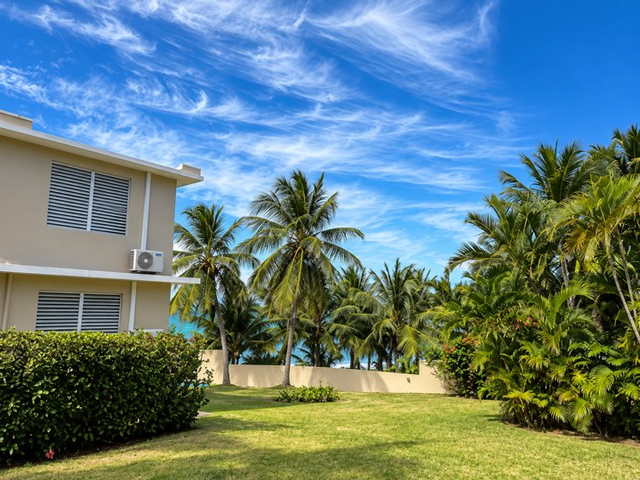 Lawn and tropical gardens