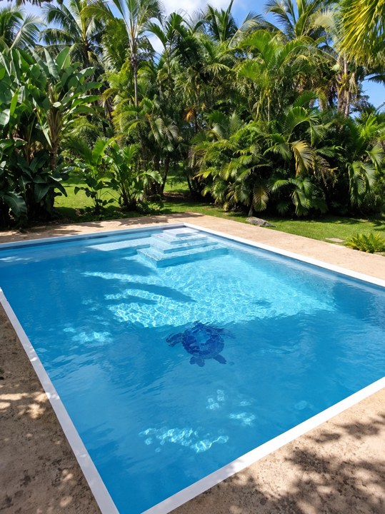 Pool alternate view
